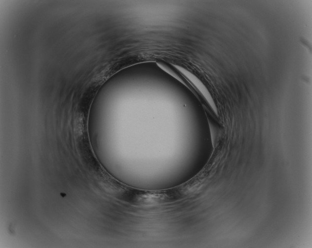 X0000090990323200708241432