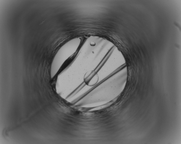 X0000090990325200708241432