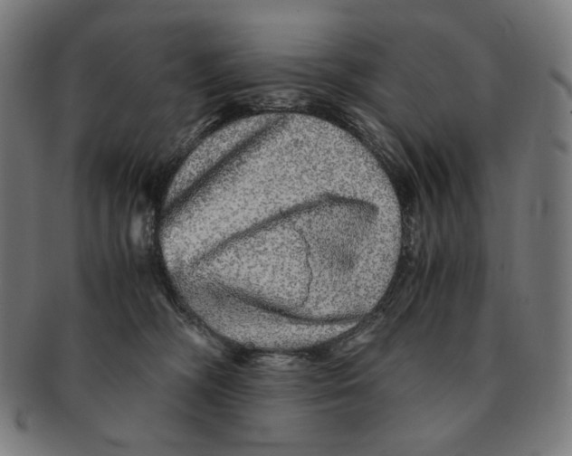 X0000090990326200708241432