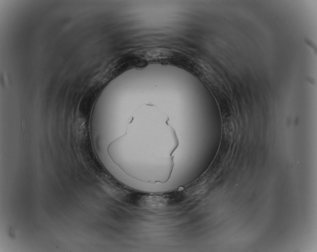 X0000090990327200708241432