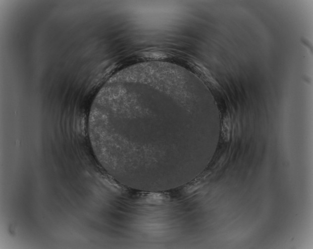 X0000090990330200708241432