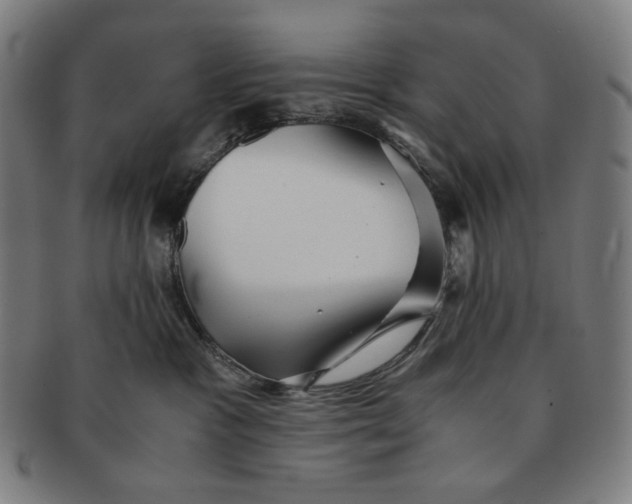 X0000090990333200708241432