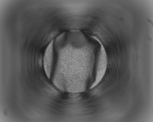 X0000090990334200708241432