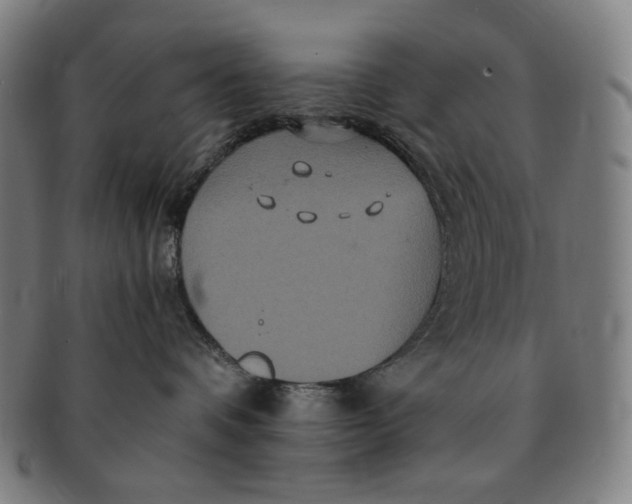 X0000090990336200708241432