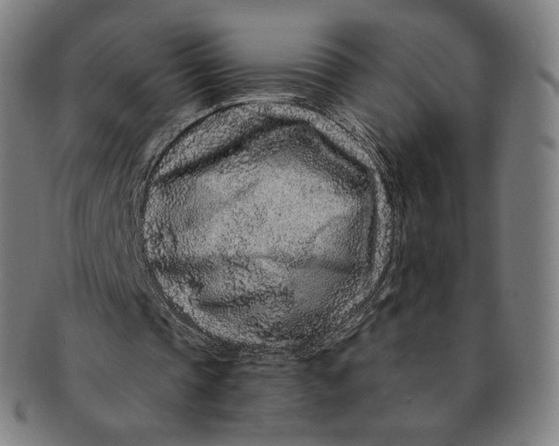 X0000090990337200708241431