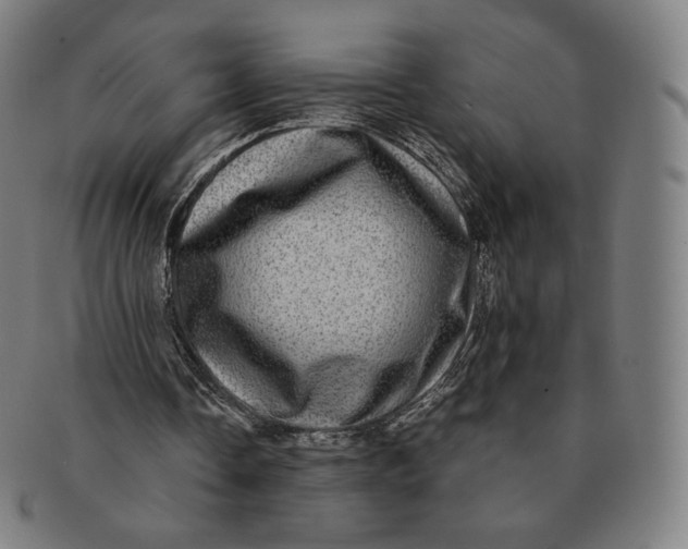 X0000090990338200708241431