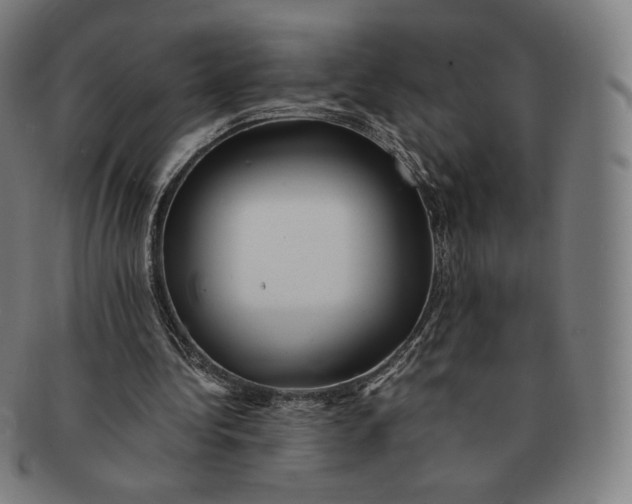 X0000090990340200708241431