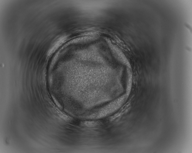 X0000090990341200708241431