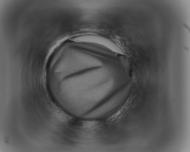 X0000090990342200708241431