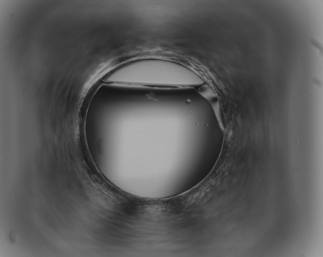 X0000090990344200708241431