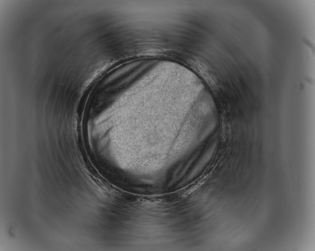 X0000090990346200708241431