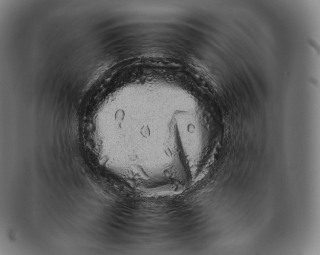 X0000090990347200708241431