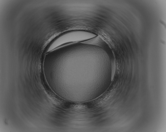 X0000090990348200708241431