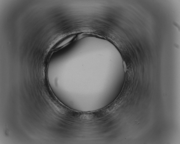 X0000090990350200708241431