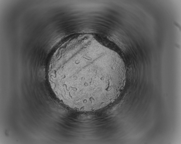 X0000090990351200708241431