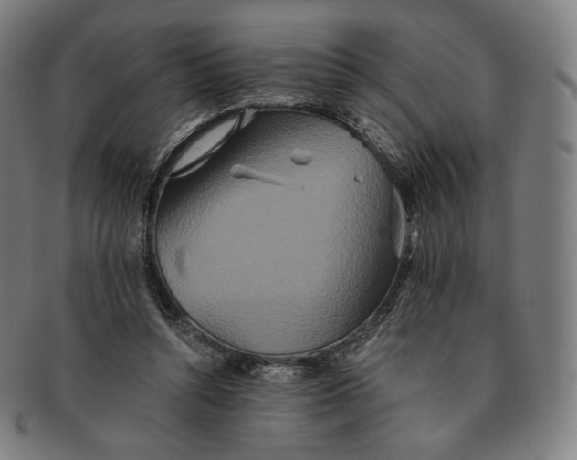 X0000090990352200708241431