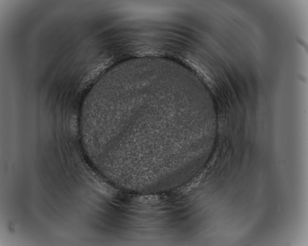 X0000090990353200708241431