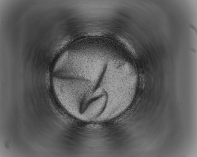 X0000090990354200708241431