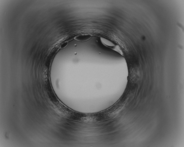 X0000090990356200708241431