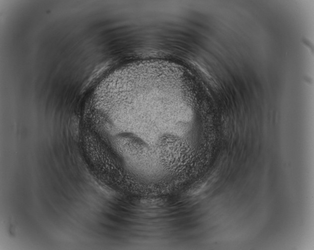 X0000090990357200708241431