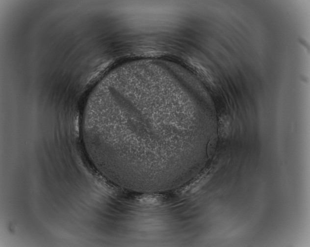 X0000090990358200708241431