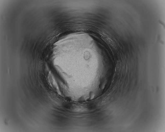 X0000090990359200708241431