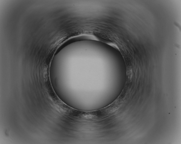 X0000090990360200708241431