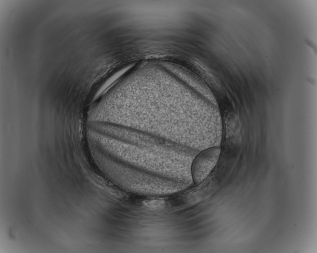 X0000090990362200708241431