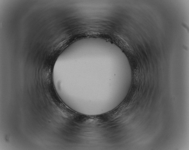 X0000090990364200708241431