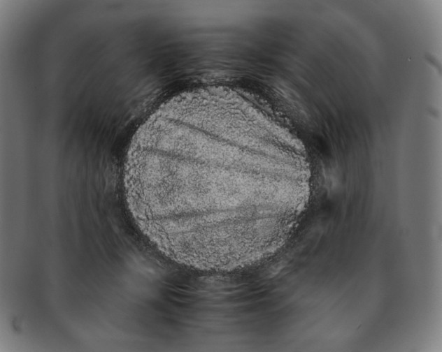 X0000090990367200708241431