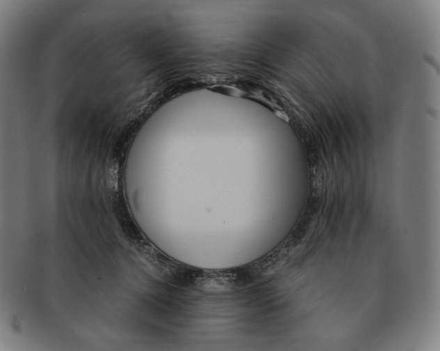 X0000090990368200708241431