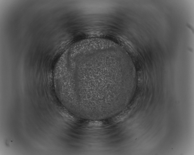 X0000090990369200708241431