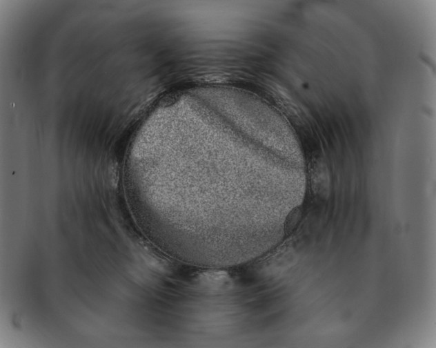 X0000090990374200708241431