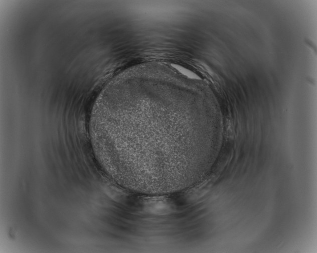 X0000090990377200708241431