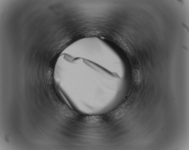 X0000090990378200708241431