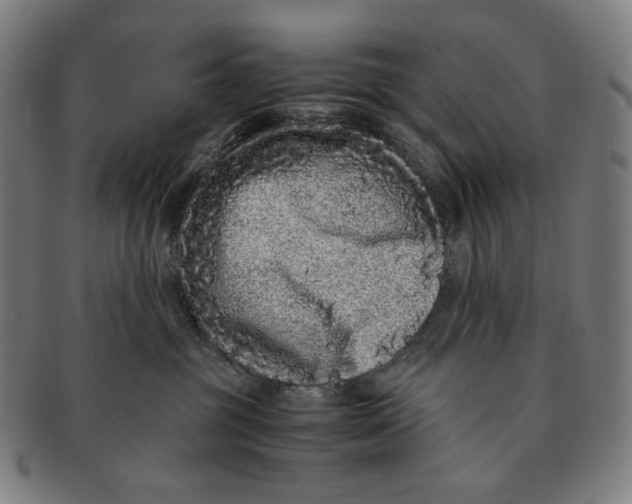 X0000090990381200708241431