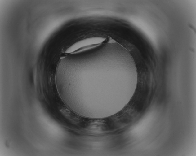 X0000090990382200708241432