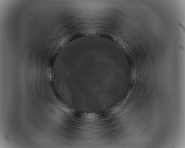 X0000090990383200708241432