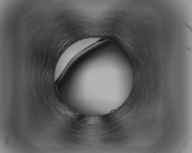 X0000090990384200708241432