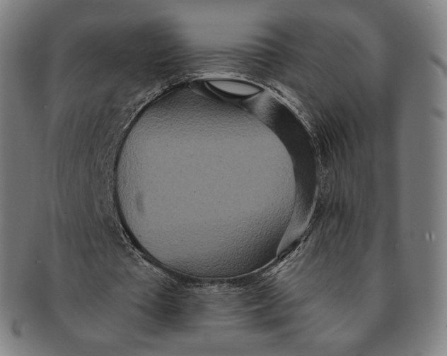 X0000090990385200708241431