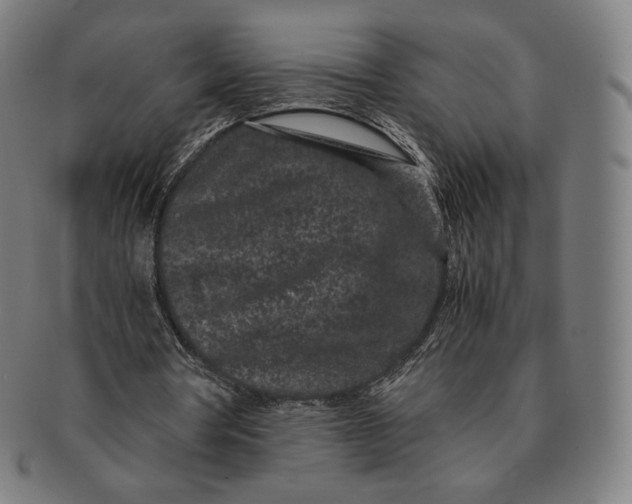 X0000090990386200708241431