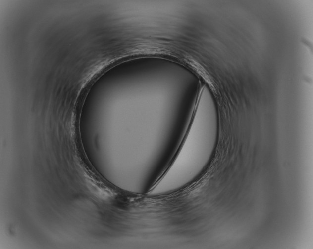 X0000090990387200708241431