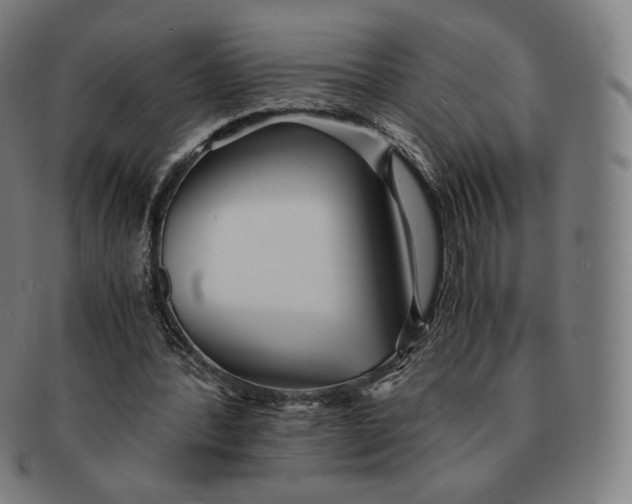 X0000090990388200708241431