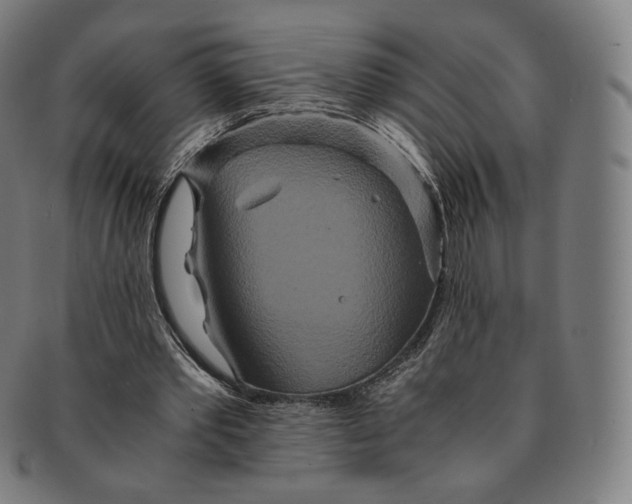 X0000090990389200708241431