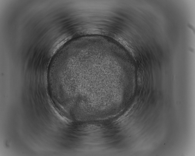 X0000090990390200708241431