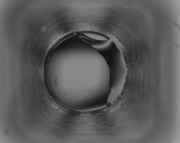 X0000090990391200708241431