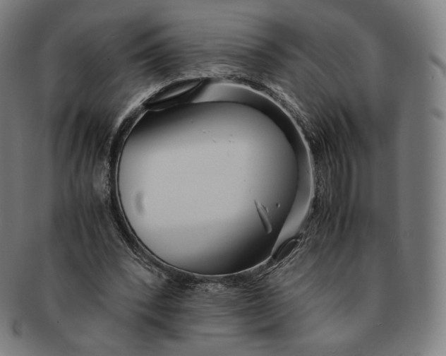 X0000090990392200708241431