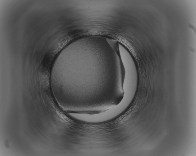 X0000090990393200708241431