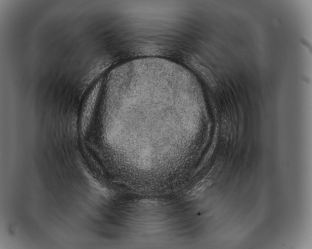 X0000090990394200708241431