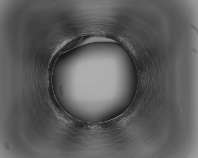 X0000090990395200708241431